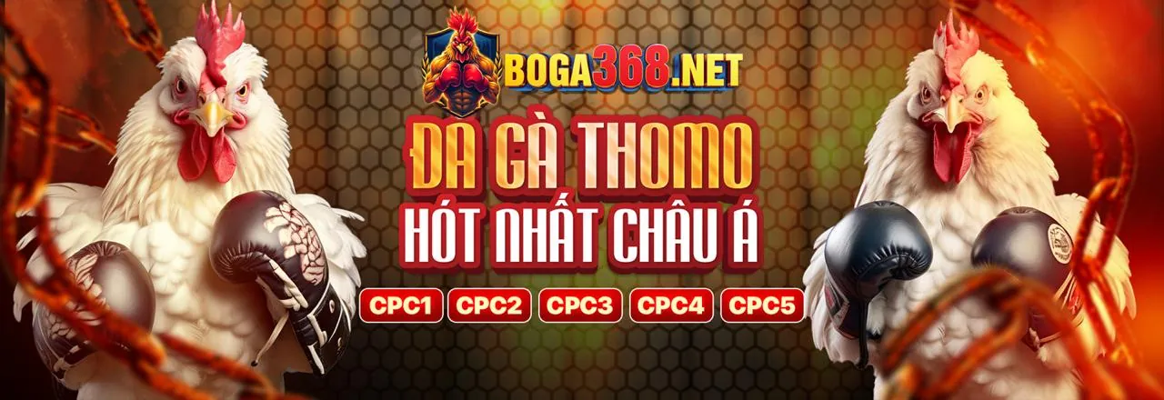 Lợi ích nền tảng Alo 789 đá gà Thomo
